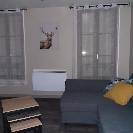 Joli Appartement T2 Agglo Troyes Sainte-Savine ภายนอก รูปภาพ